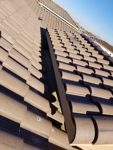 Tile roof before pigeon abatement services.