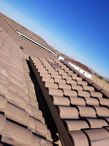 Tile roof with pigeon netting.