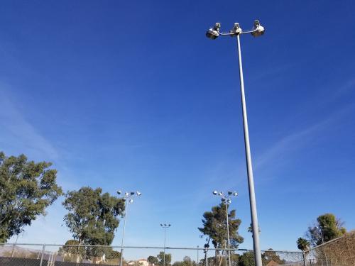 Pigeon abatement services for field lights.